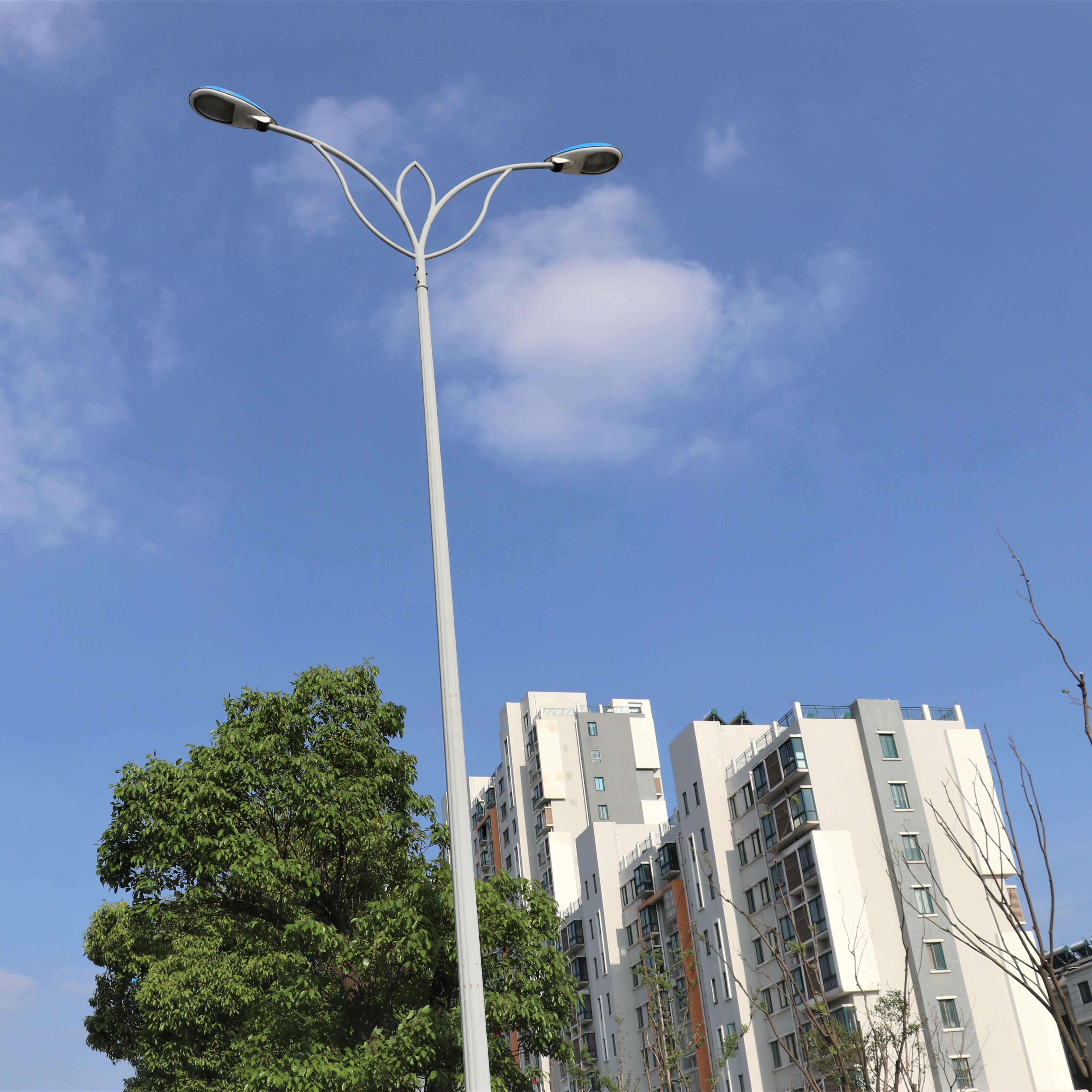 Factory wholesale  China Street Lighting  - 60W Outdoor Led Street Light – Xintong
